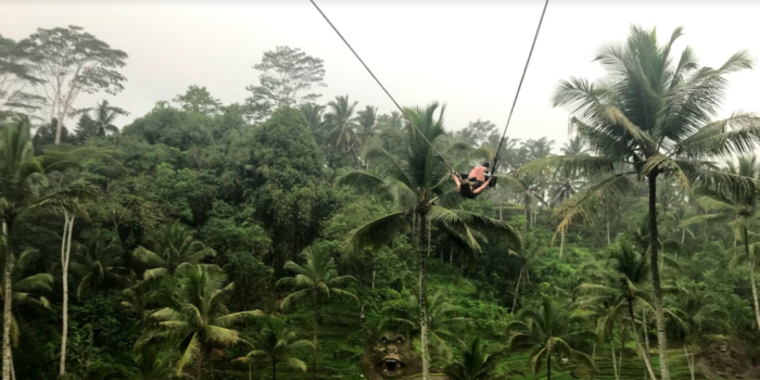 bali rice field swing